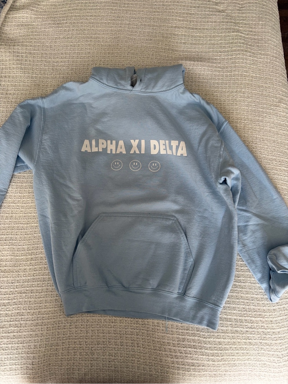 Gildan Light Blue Alpha Xi Delta Pullover Hoodie